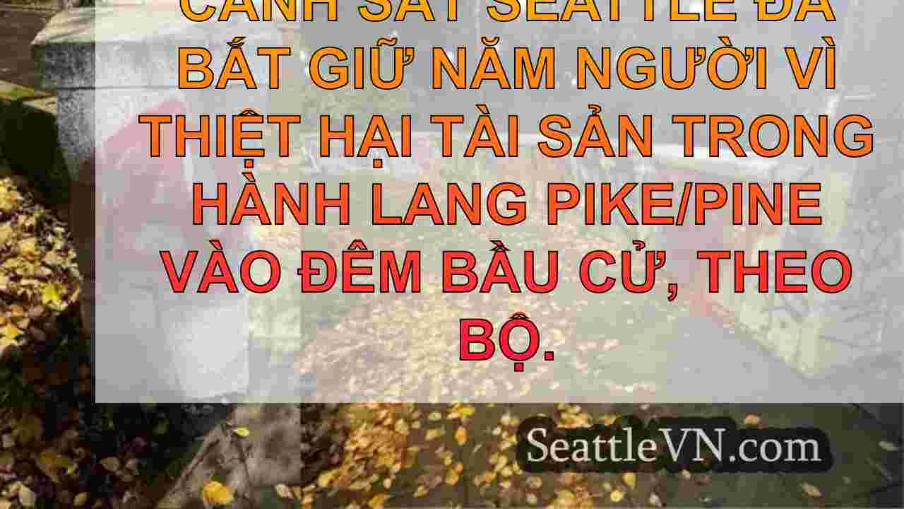 Nhiều vụ bắt giữ được thực hiện tại