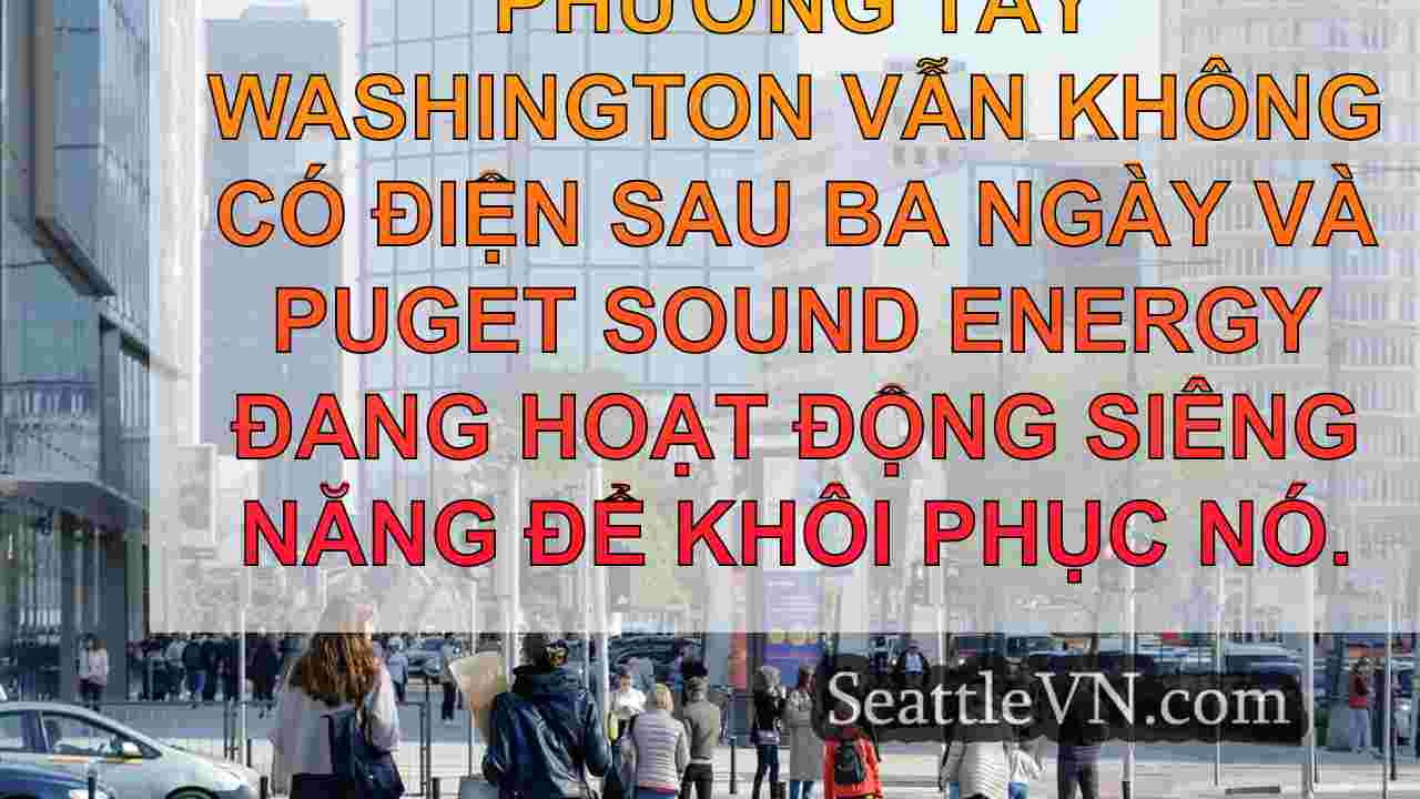 tin tức seattle SeattleVN