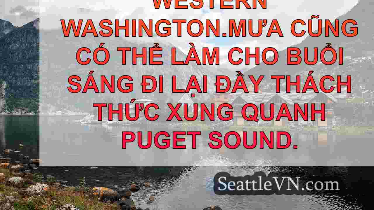 tin tức seattle SeattleVN