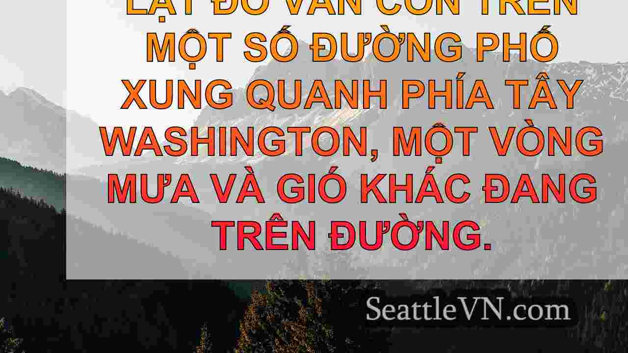 Phi hành đoàn loại bỏ những cây rơi ở