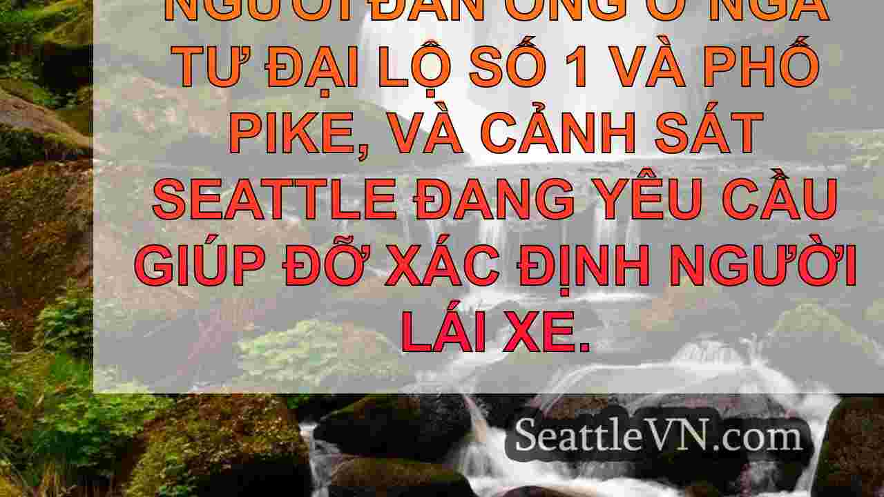 tin tức seattle SeattleVN
