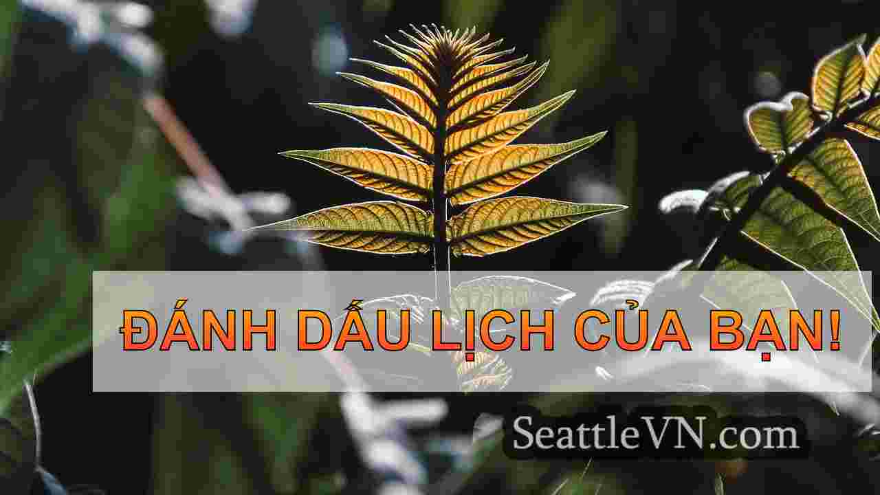 tin tức seattle SeattleVN