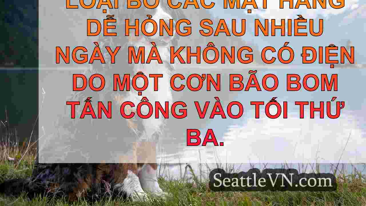 tin tức seattle SeattleVN