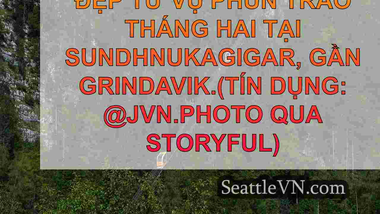 tin tức seattle SeattleVN