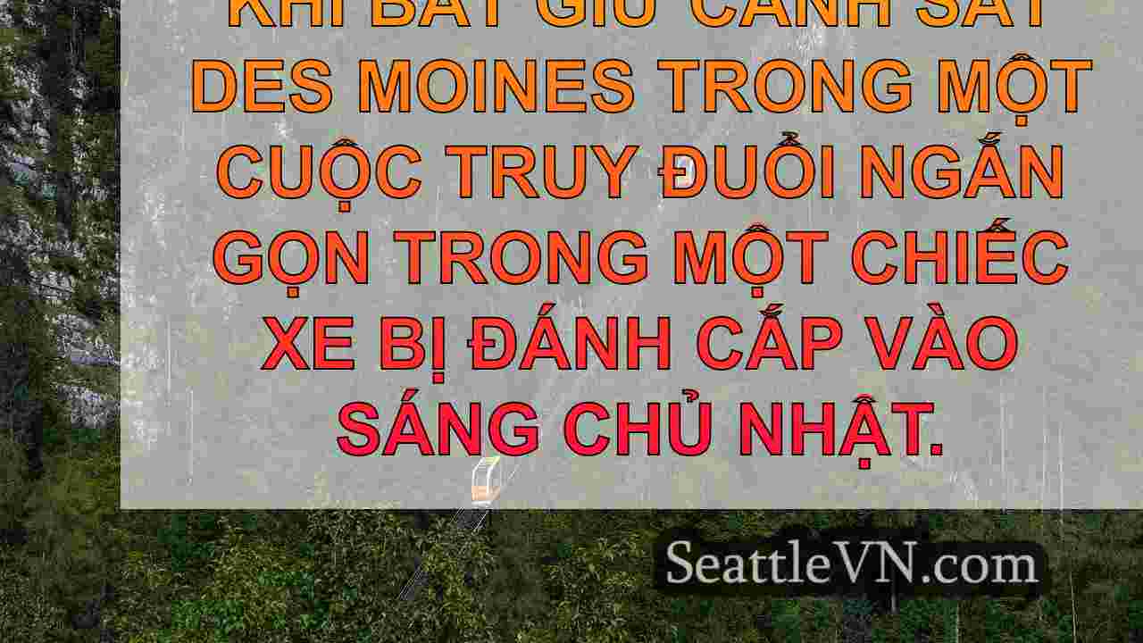 tin tức seattle SeattleVN