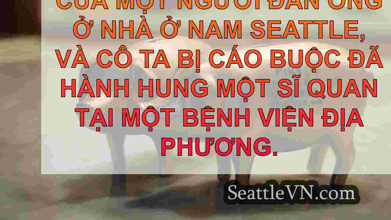 tin tức seattle SeattleVN