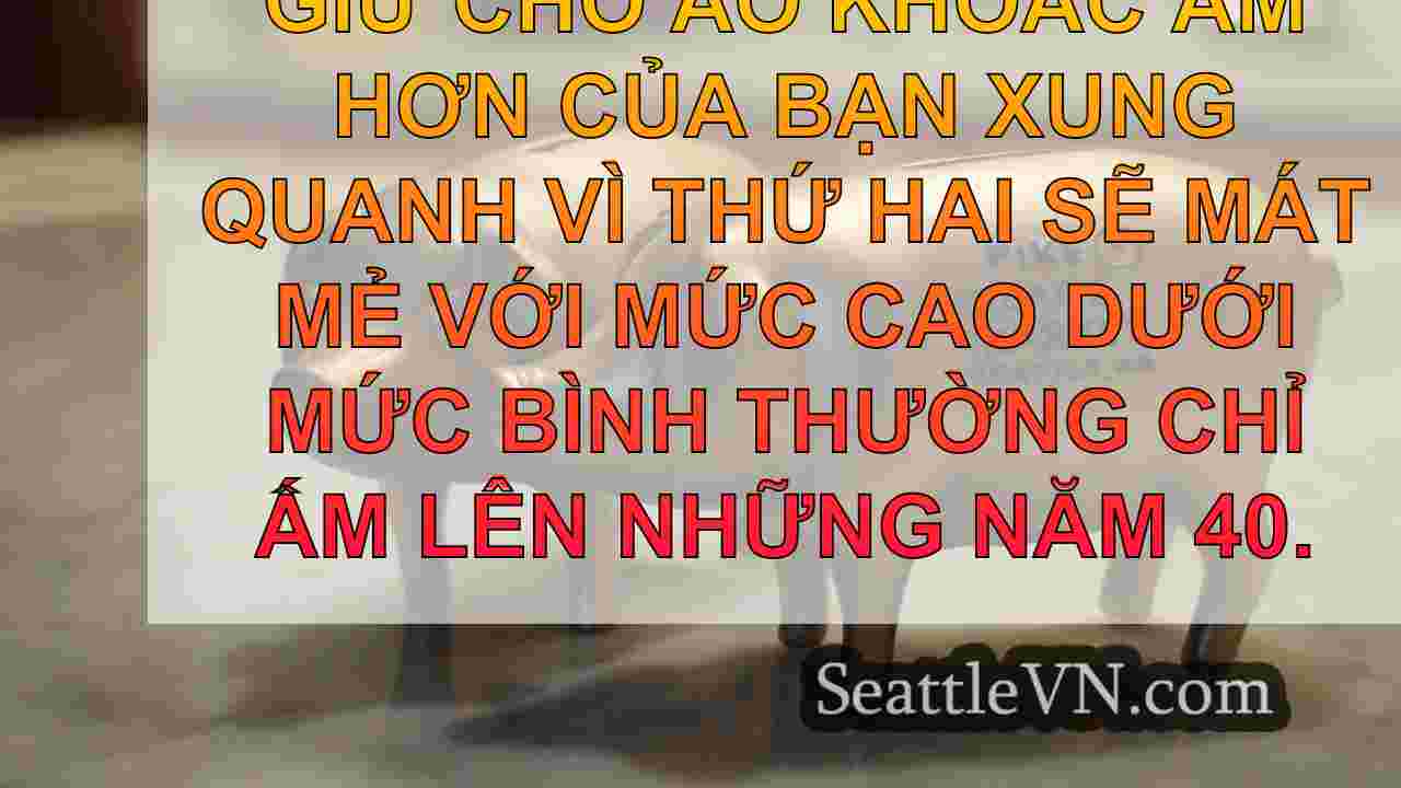 Thời tiết gió đông của Seattle vào thứ