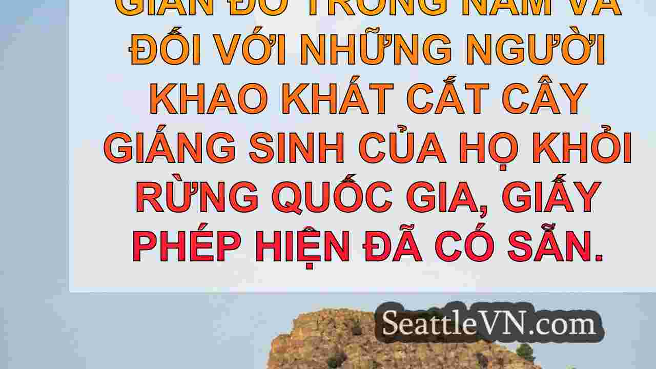 tin tức seattle SeattleVN
