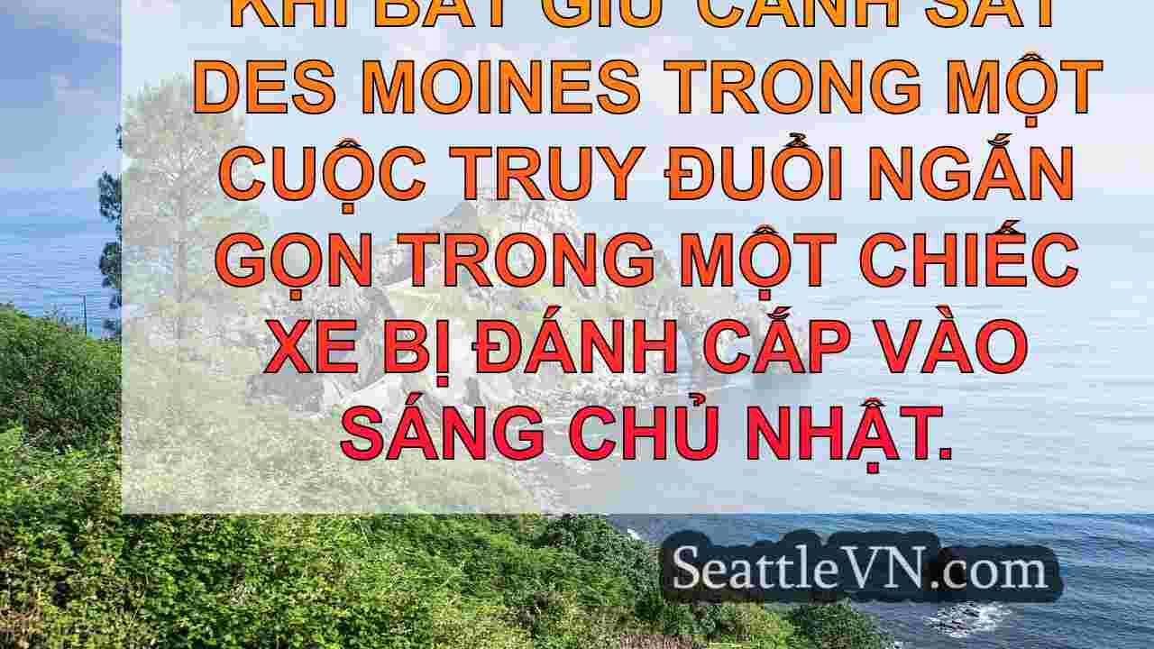 tin tức seattle SeattleVN