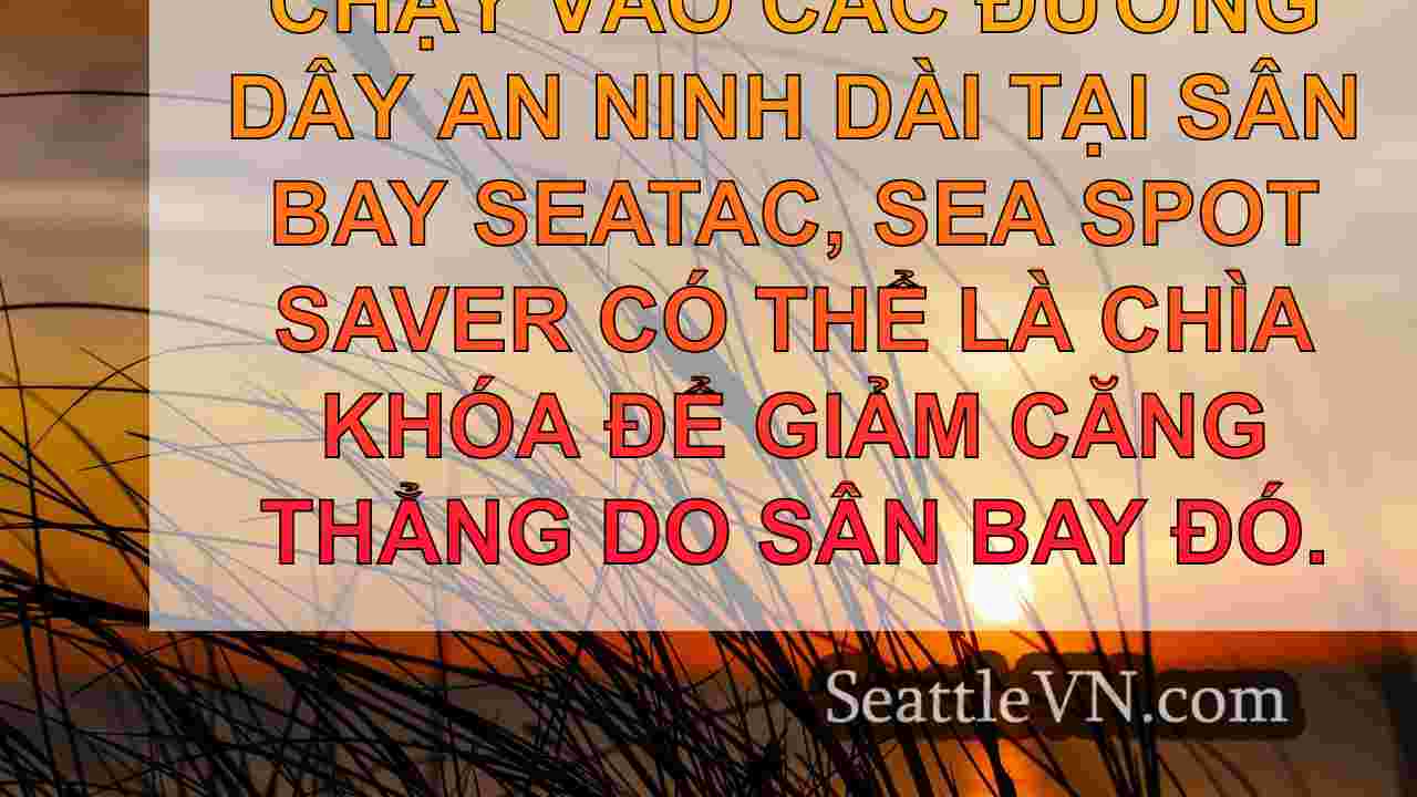 Lời khuyên du lịch kỳ nghỉ của sân bay