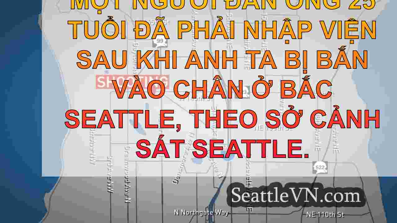 Người đàn ông nhập viện sau vụ nổ súng