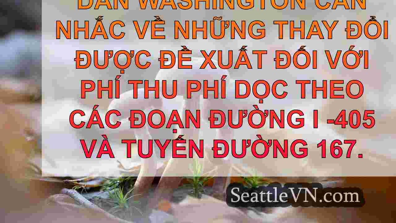 tin tức seattle SeattleVN