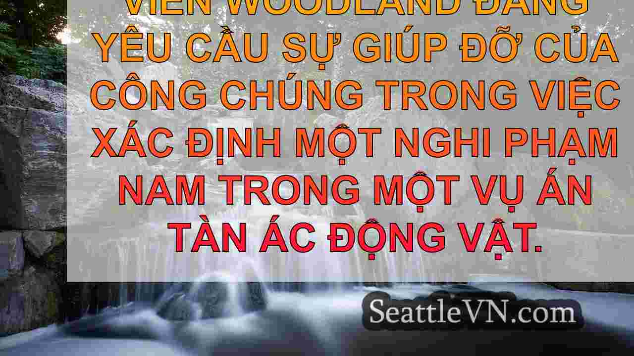 tin tức seattle SeattleVN