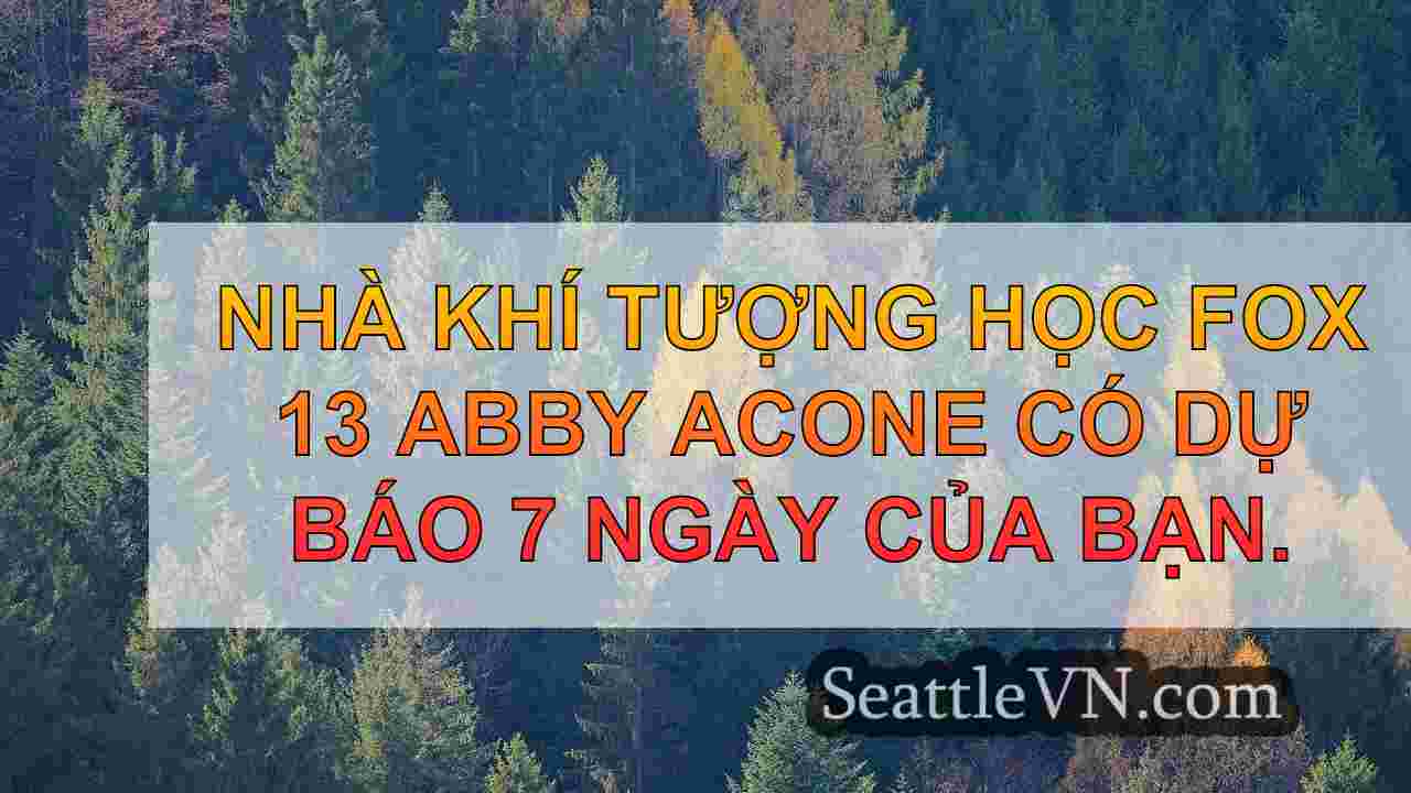 tin tức seattle SeattleVN