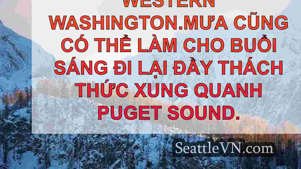 tin tức seattle SeattleVN