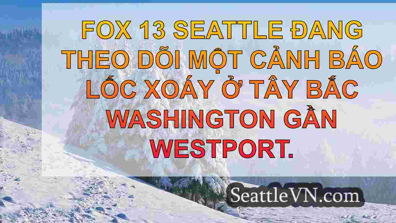 tin tức seattle SeattleVN
