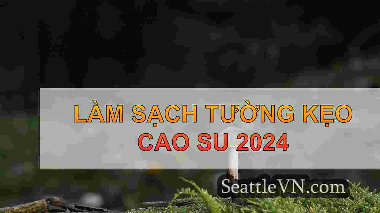 tin tức seattle SeattleVN