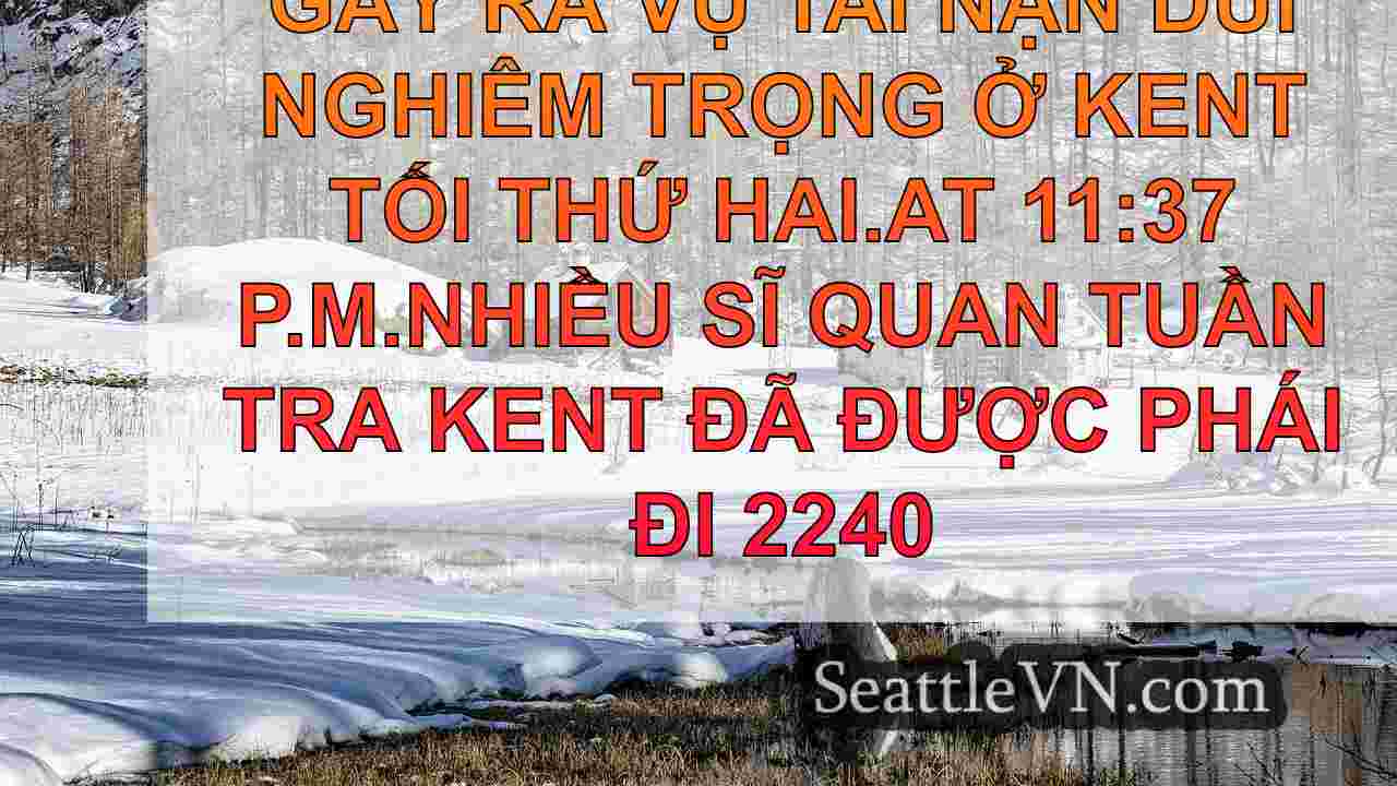 tin tức seattle SeattleVN