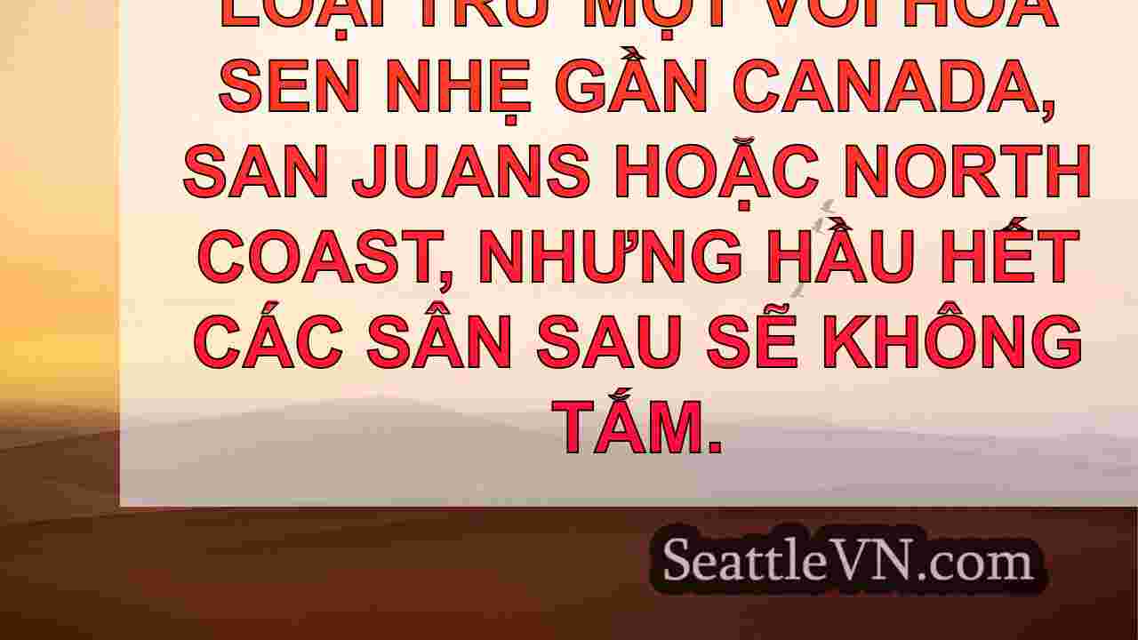 tin tức seattle SeattleVN