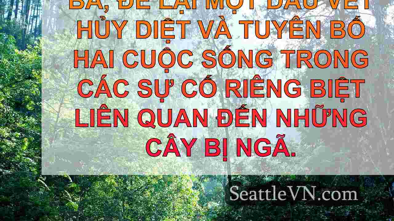 tin tức seattle SeattleVN