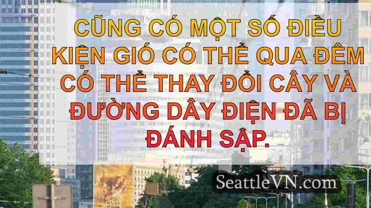 tin tức seattle SeattleVN