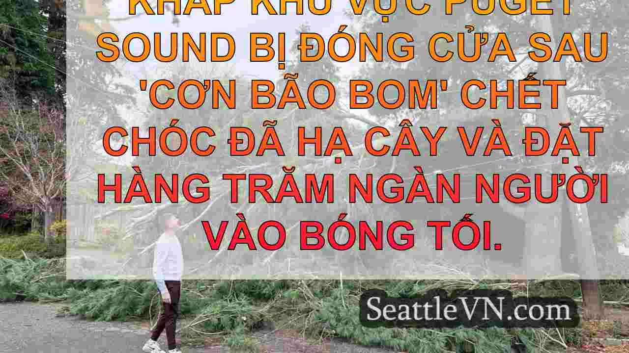Nhiều trường học trên khắp Western