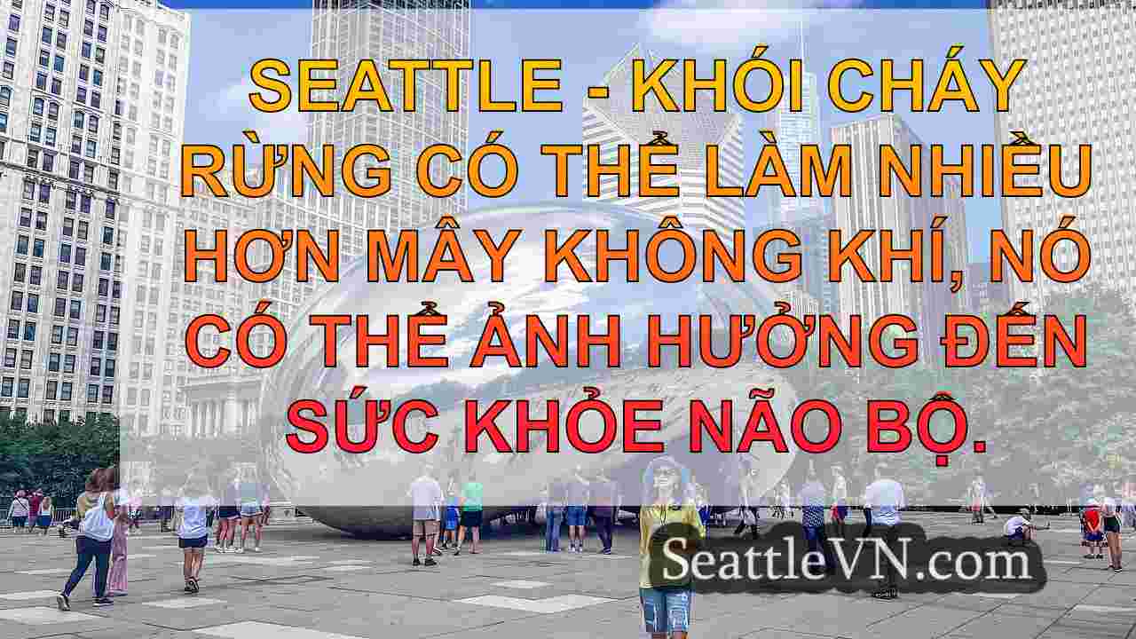 tin tức seattle SeattleVN