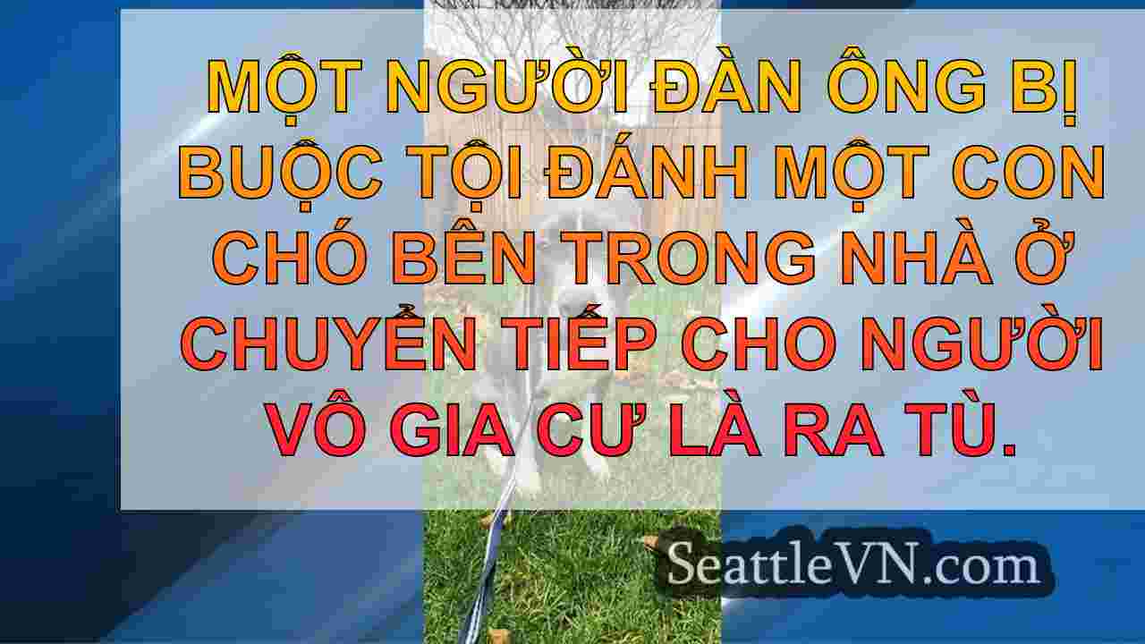 Người đàn ông Seattle bị buộc tội tàn