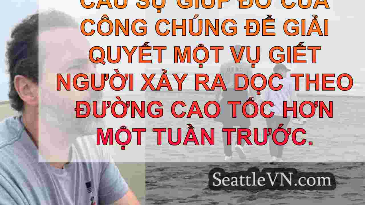 Mẹo, Video Dashcam được tìm kiếm trong