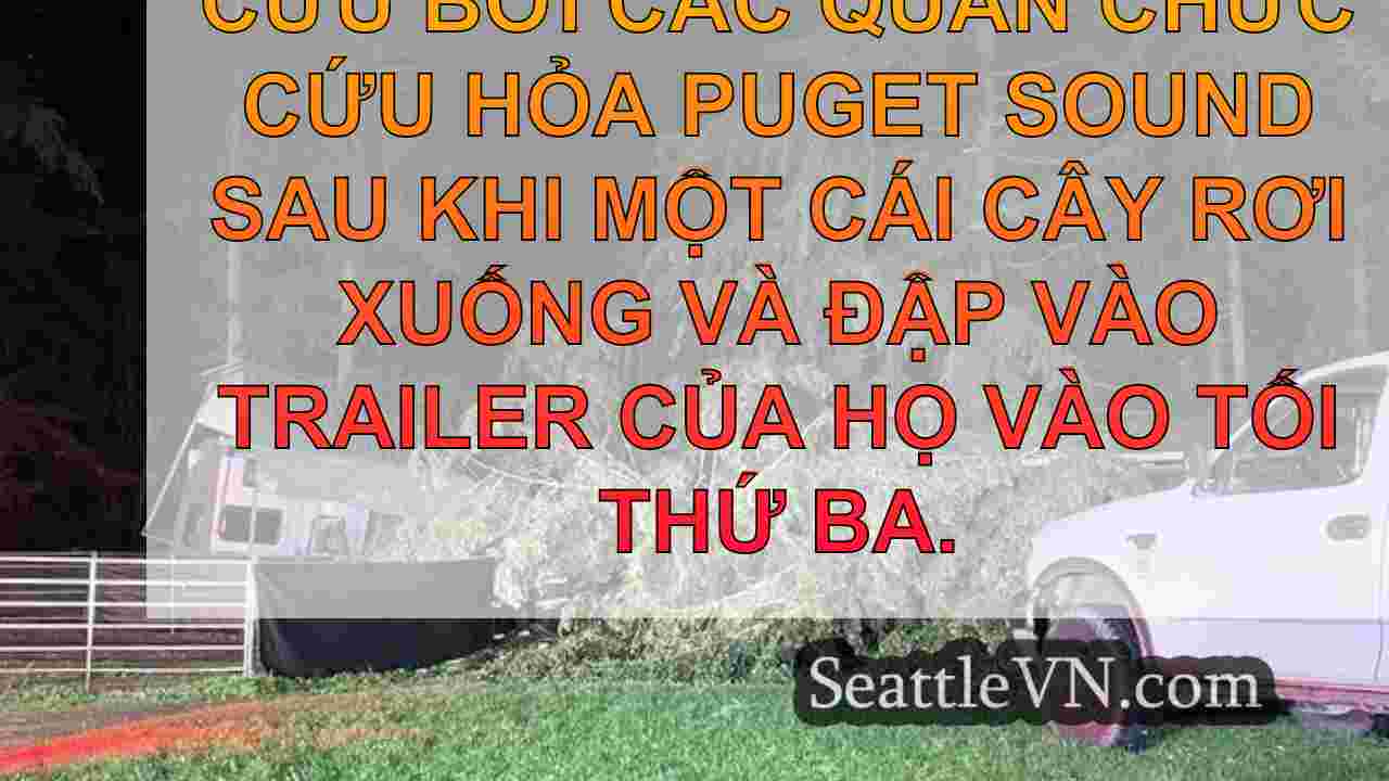 tin tức seattle SeattleVN