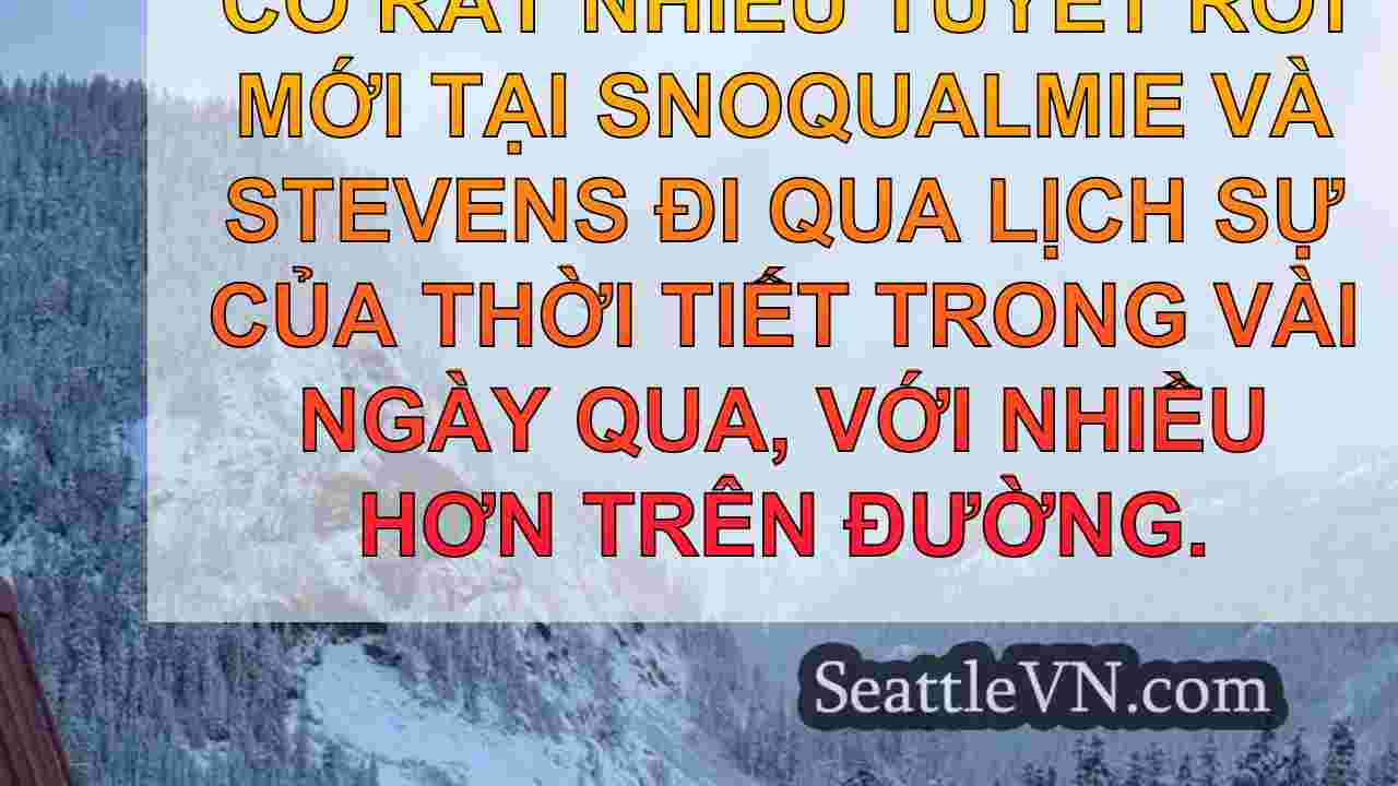 tin tức seattle SeattleVN