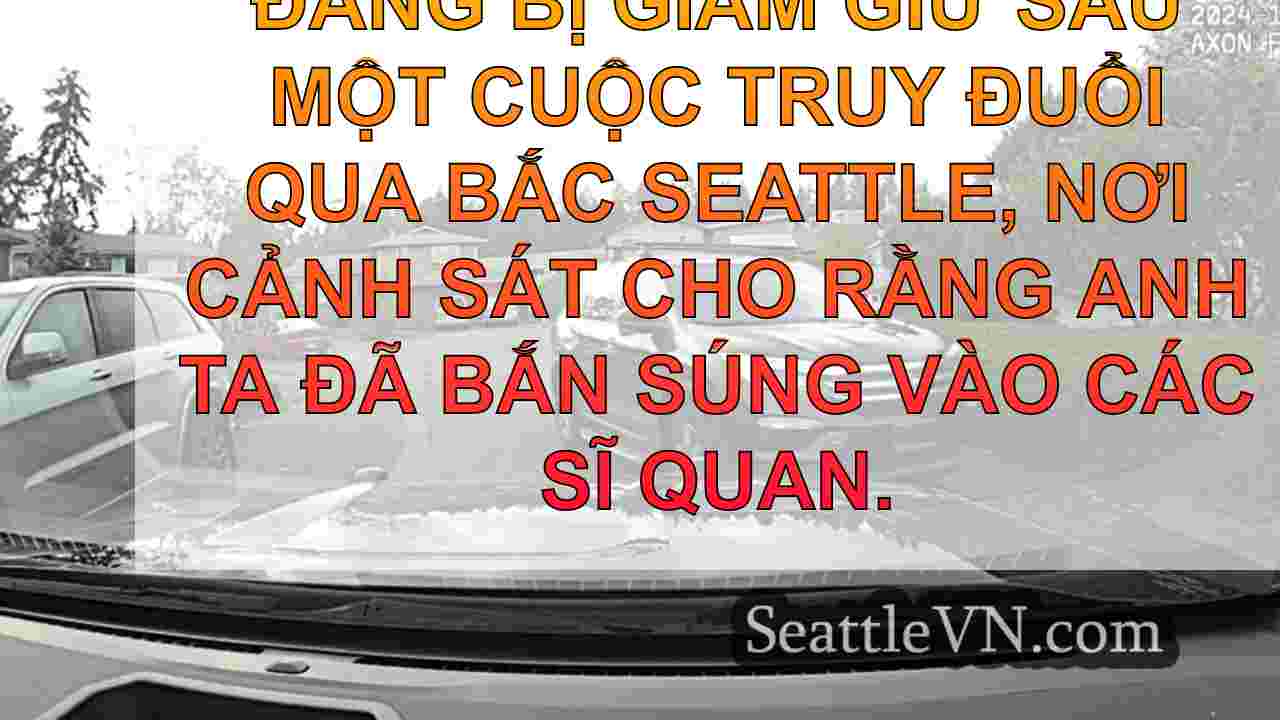 Cậu bé 14 tuổi bị bắt sau khi bắn vào