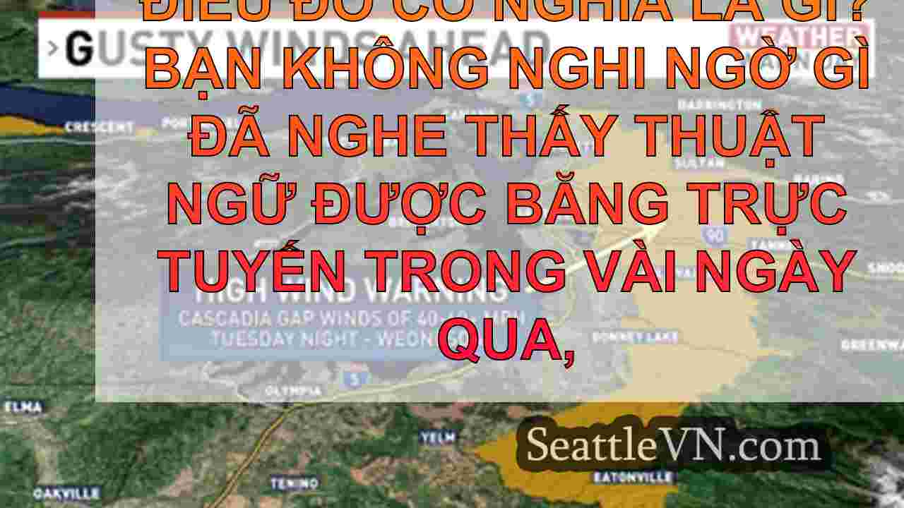 tin tức seattle SeattleVN