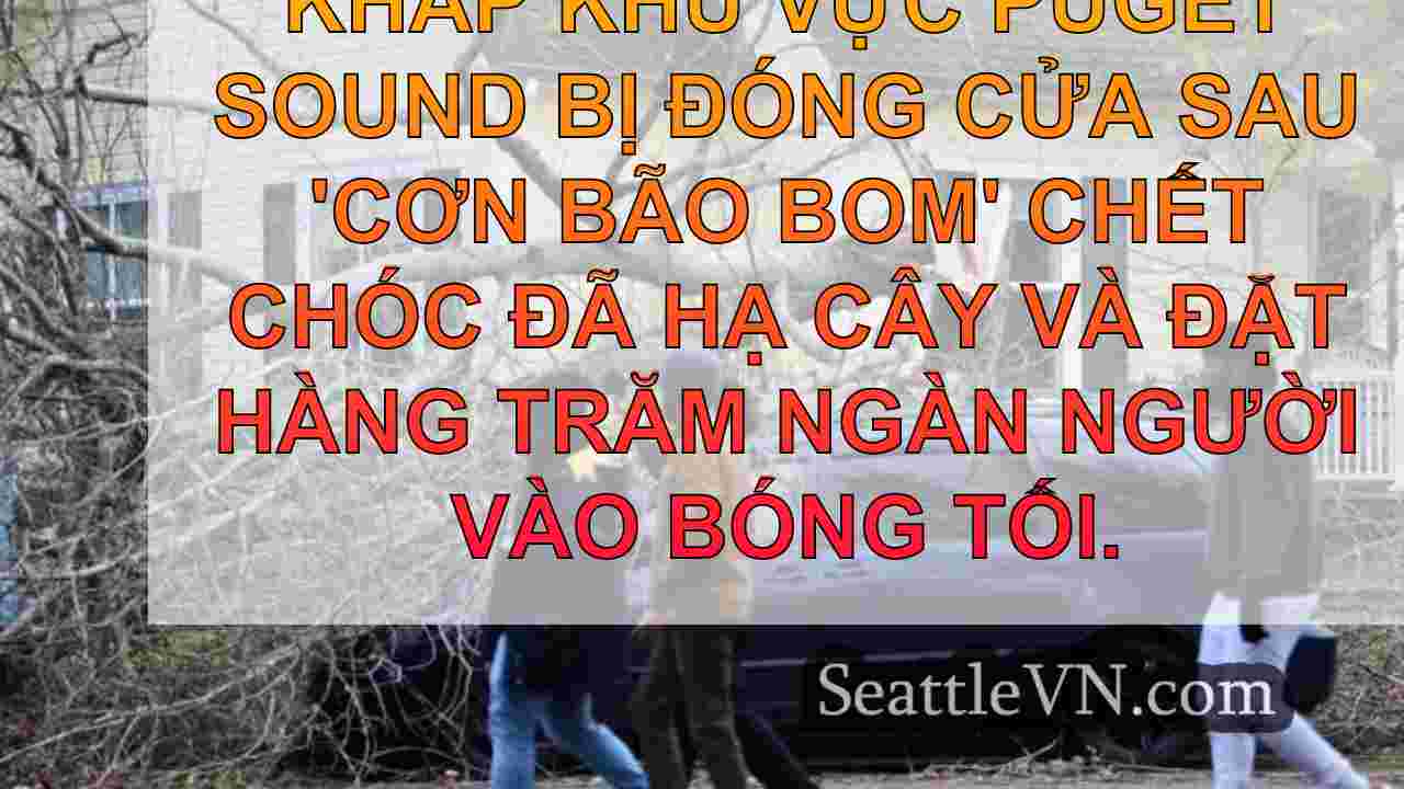 tin tức seattle SeattleVN