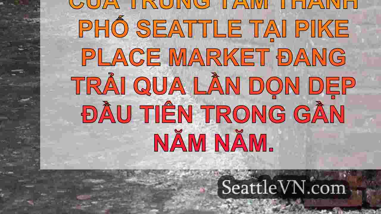 tin tức seattle SeattleVN