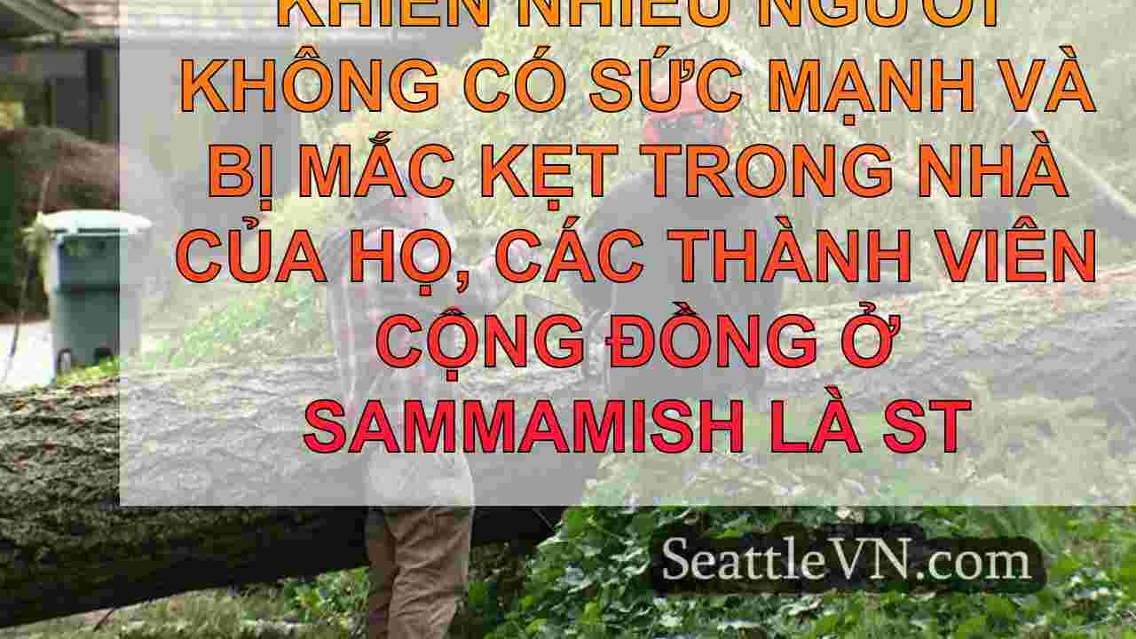 tin tức seattle SeattleVN