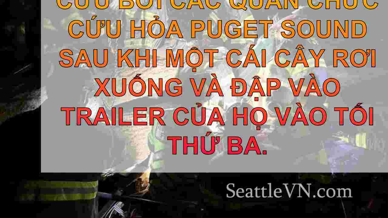 tin tức seattle SeattleVN