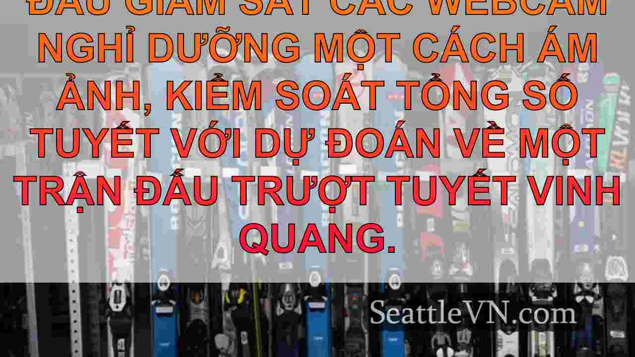 Trao đổi trượt tuyết ở Newport xảy ra