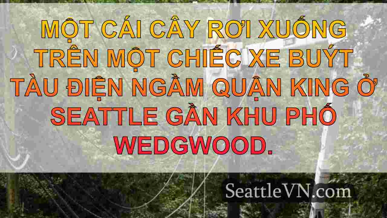 Sự cố mất điện của thành phố Seattle