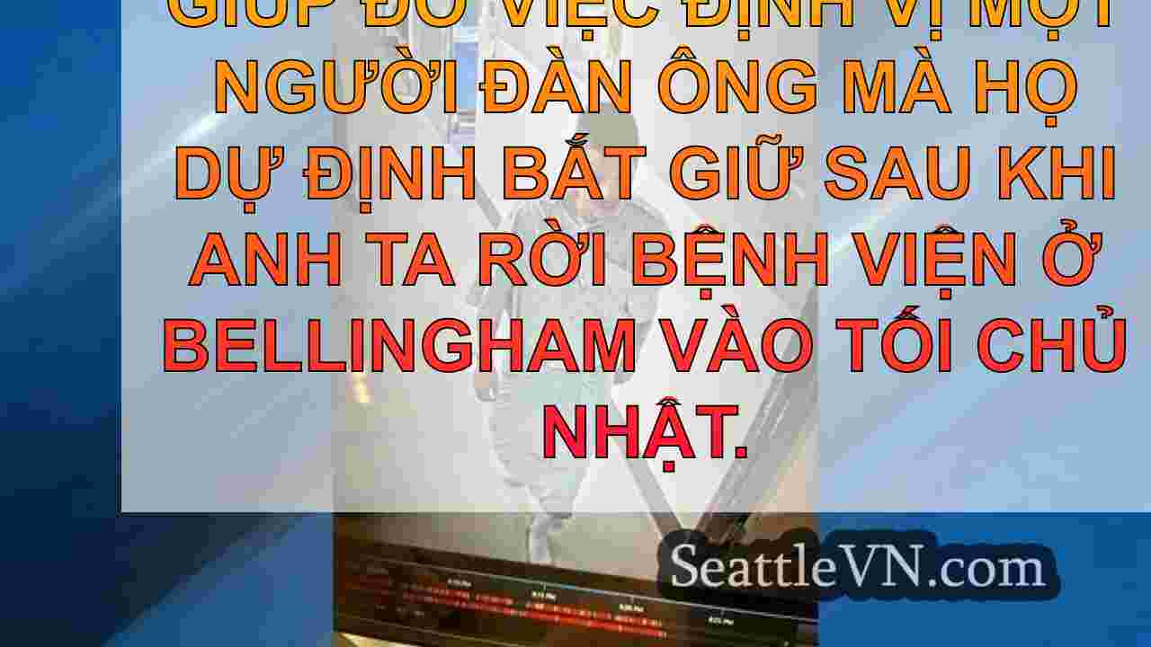 tin tức seattle SeattleVN