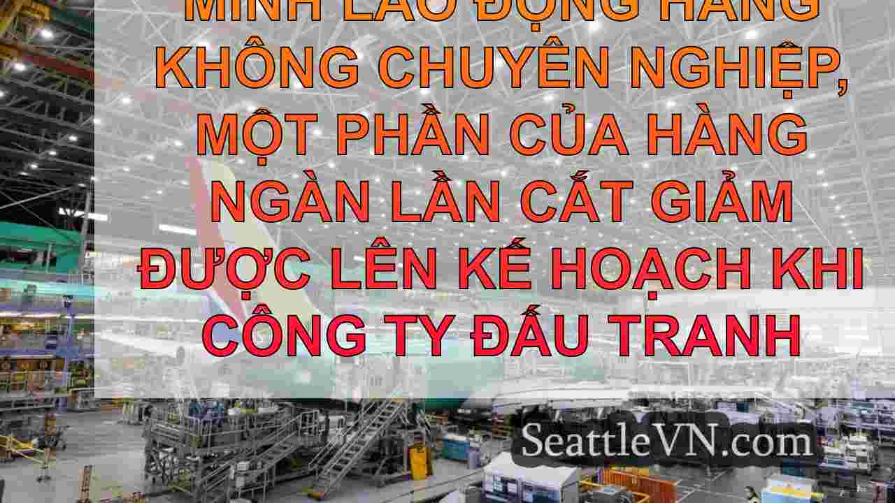 Các vấn đề về Boeing Các thông báo sa