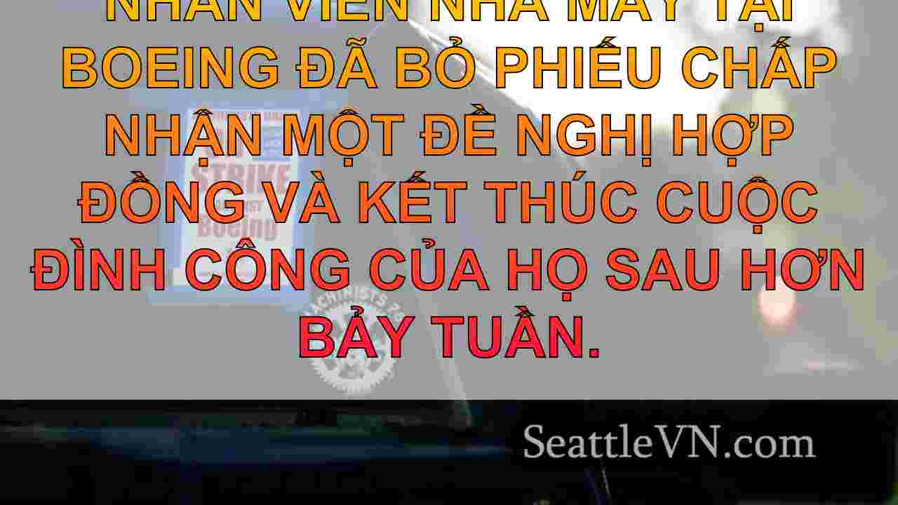 tin tức seattle SeattleVN