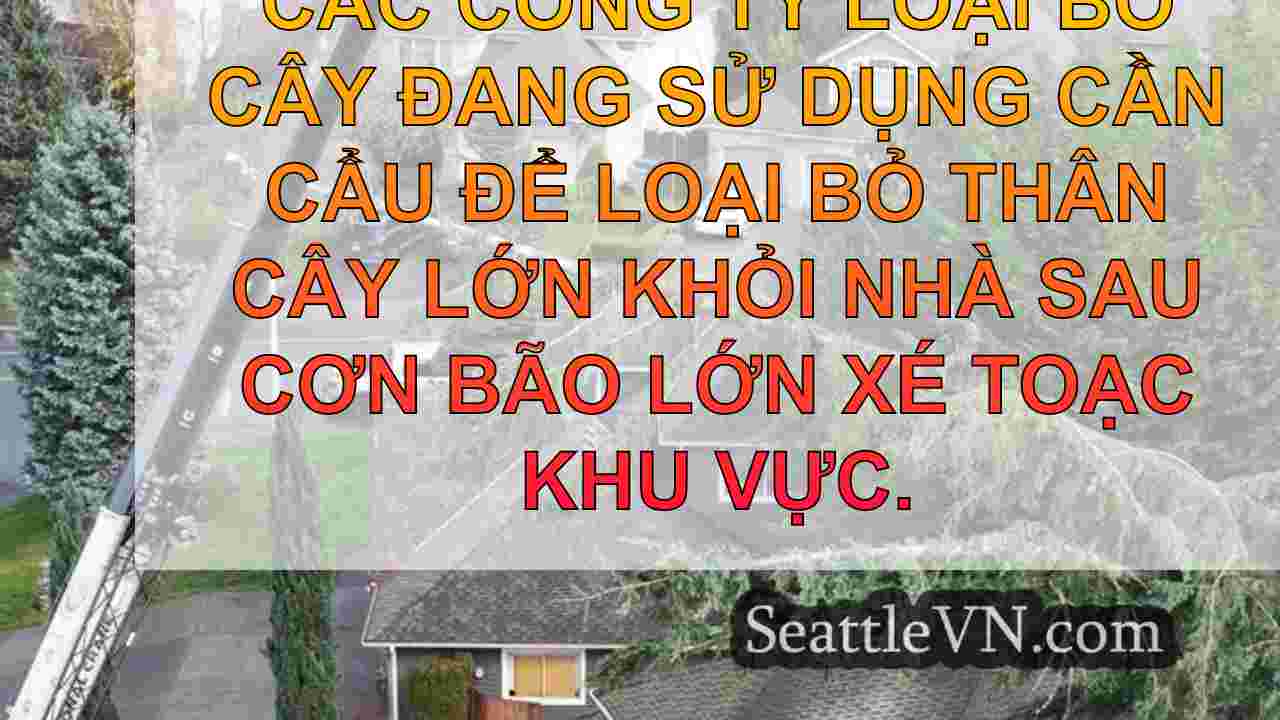 tin tức seattle SeattleVN