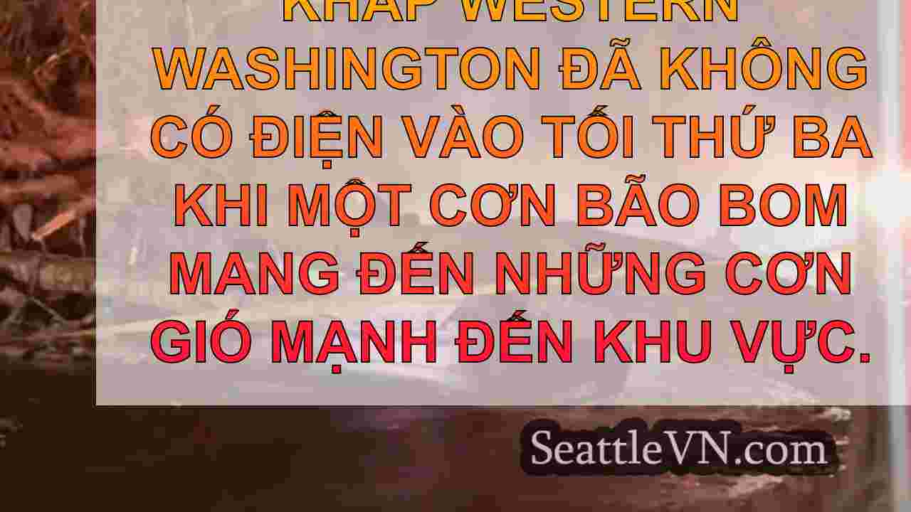 tin tức seattle SeattleVN