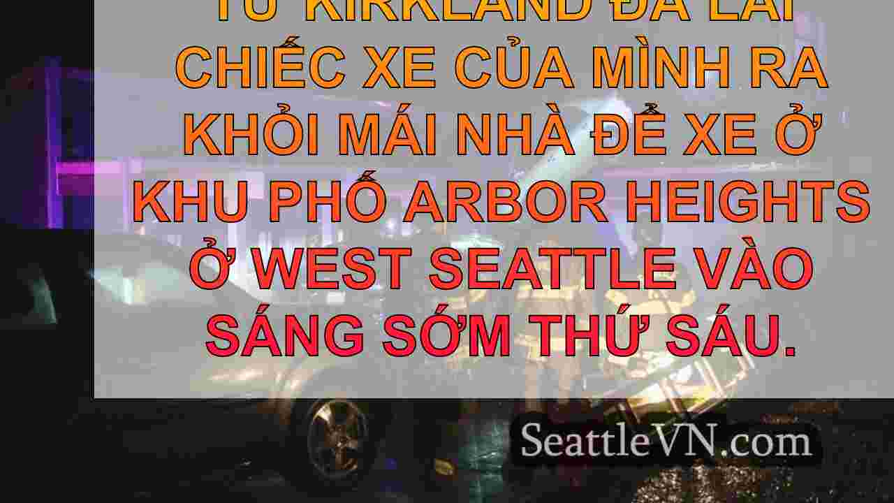 Người phụ nữ lớn tuổi được giải cứu sau