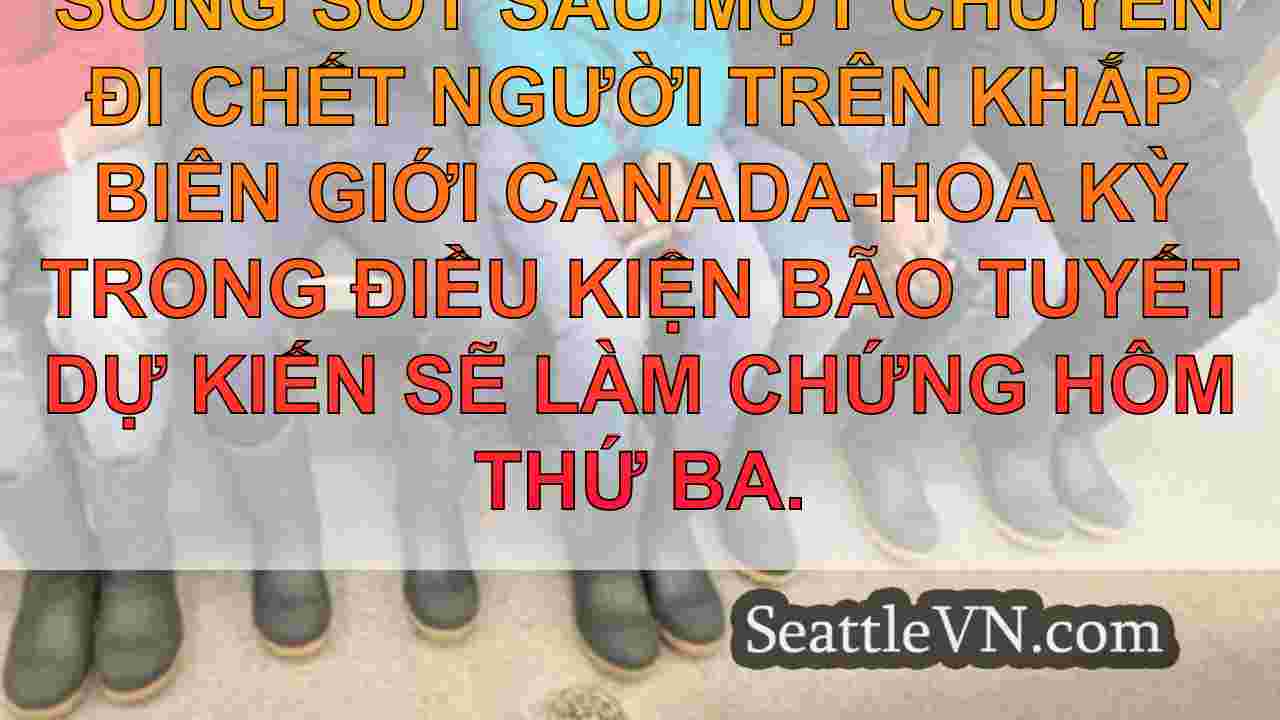 tin tức seattle SeattleVN
