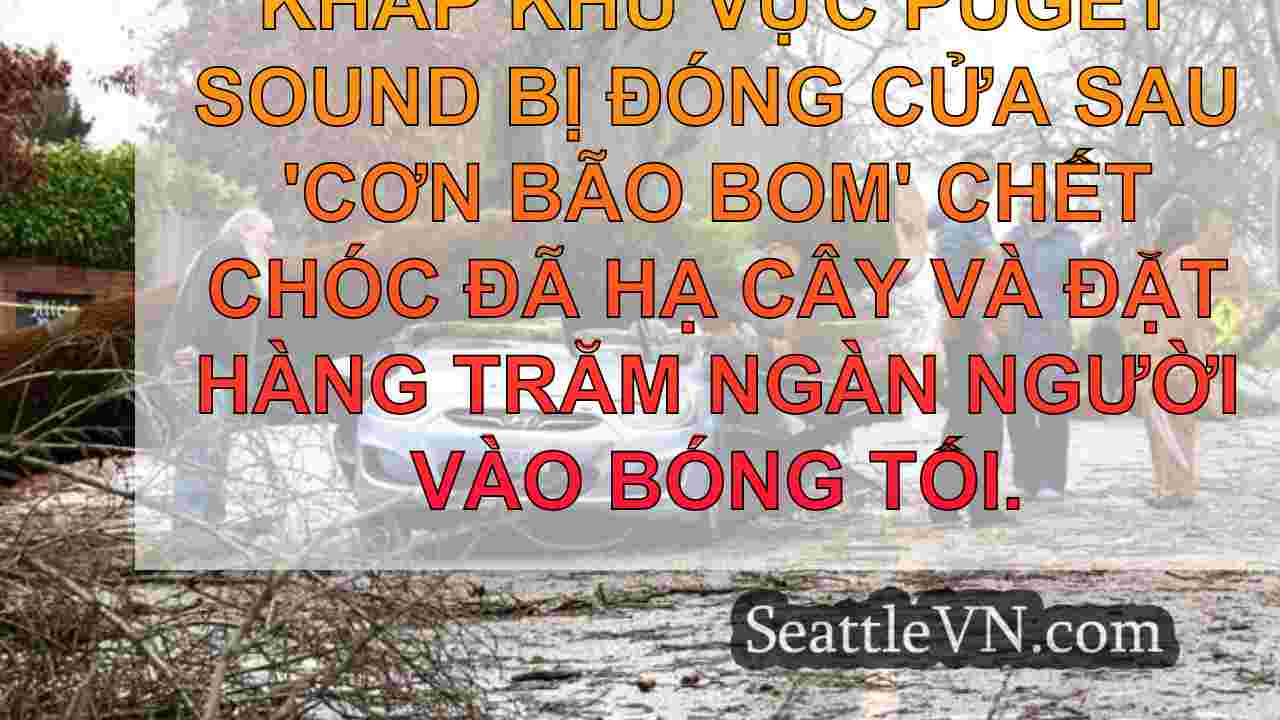 tin tức seattle SeattleVN
