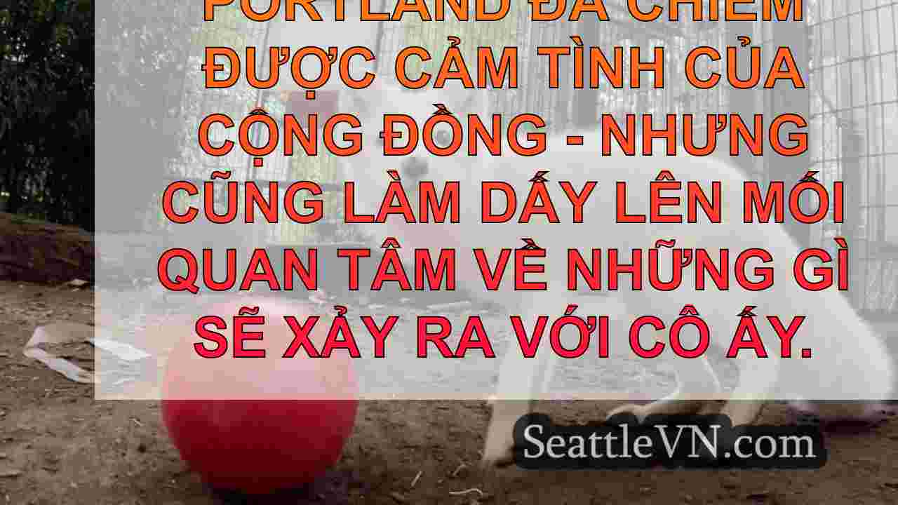 Các chuyến thăm Bắc Cực Fox nổi tiếng