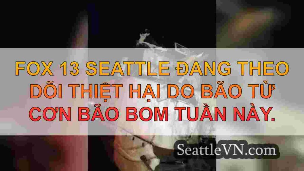 Tàu Amtrak được đặt bằng cây gần