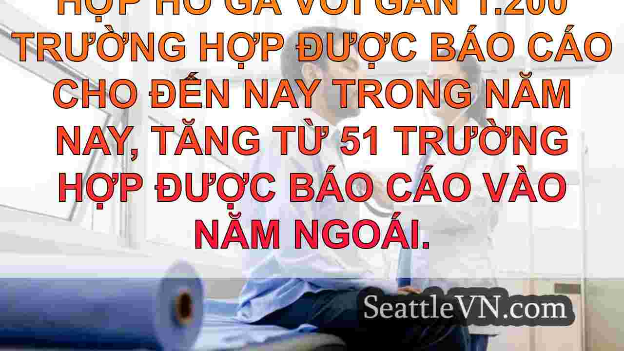 tin tức seattle SeattleVN